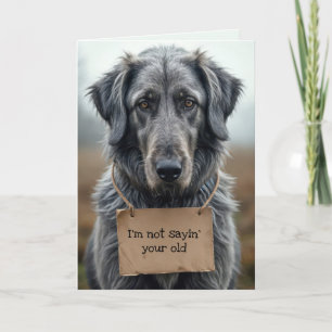 Carte Obtenir un chien gris vieux avec panneau en carton