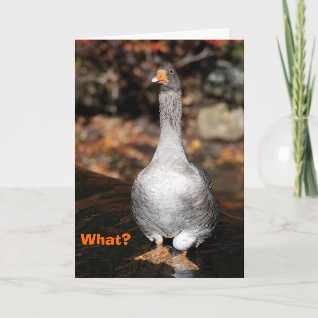 Carte Obtention du diplôme (Devant)