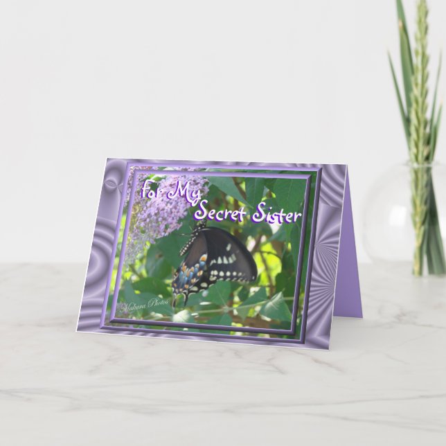 Carte Occasion de soeur de Toilette-Papillon tout (Devant)