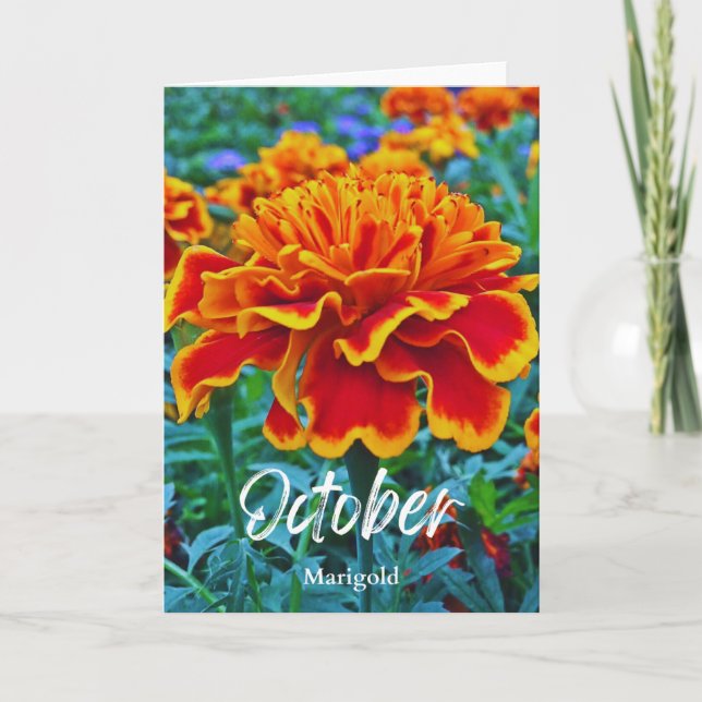 Carte Octobre Jaune Or Marigold Mois de naissance Fleur (Devant)
