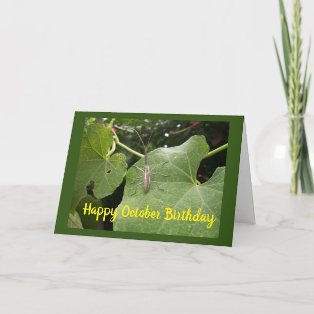 CARTE **OCTOBRE SOUHAITS D'ANNIVERSAIRE** AVEC UN BOGUE  (Devant)
