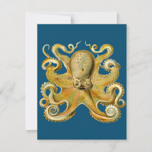 Carte Octopus - Ernst Haeckel's