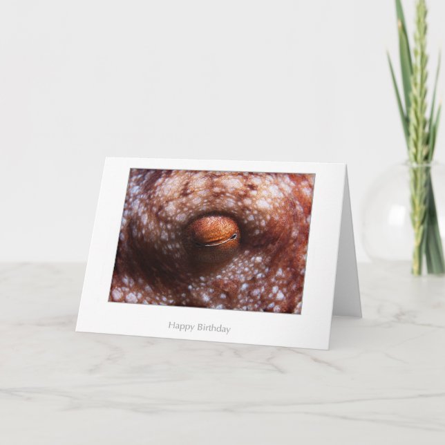 Carte Octopus Eye Birthday Card (Devant)