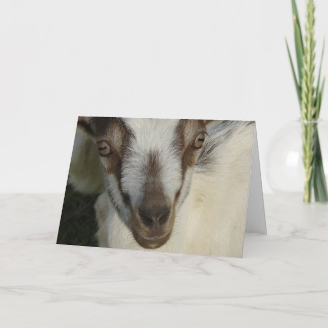 Carte Oeil Vous Voir (Devant)