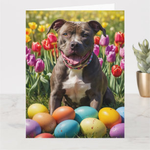 Carte Œufs de Pâques Pitbull
