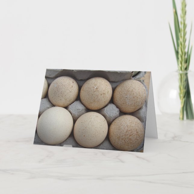 Carte Oeufs de Turquie (Devant)