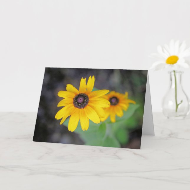 Carte Offre de juillet (Petite plante)