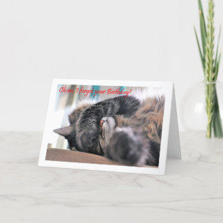 Carte Oh non, j'ai oublié ton anniversaire ! Chat Happy