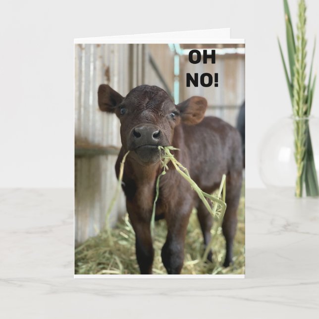 CARTE OH NON...VOUS ÊTES **40** JOLI ANNIVERSAIRE (Devant)