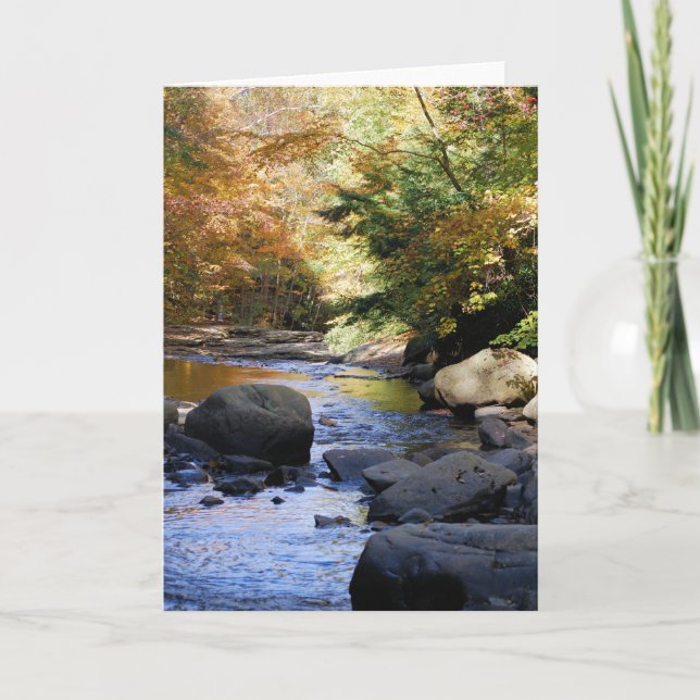 Carte Ohiopyle (Devant)