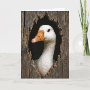 Carte Oie Blanche À Partir Du Trou En Bois Déchiré