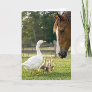 Carte Oie d'anniversaire avec oisons et cheval