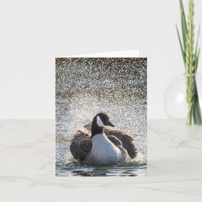 Carte Oie de baignade Nature Photo (Devant)