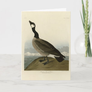 Carte Oie en caquette des oiseaux d'Amérique d'Audubon