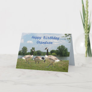 Carte Oie-personnaliser de C. toute occasion
