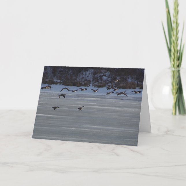 Carte Oie volante basse (Devant)