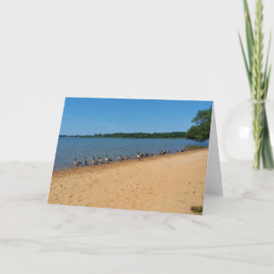 Carte Oies au lac Silver, Wisconsin