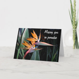 Carte Oiseau