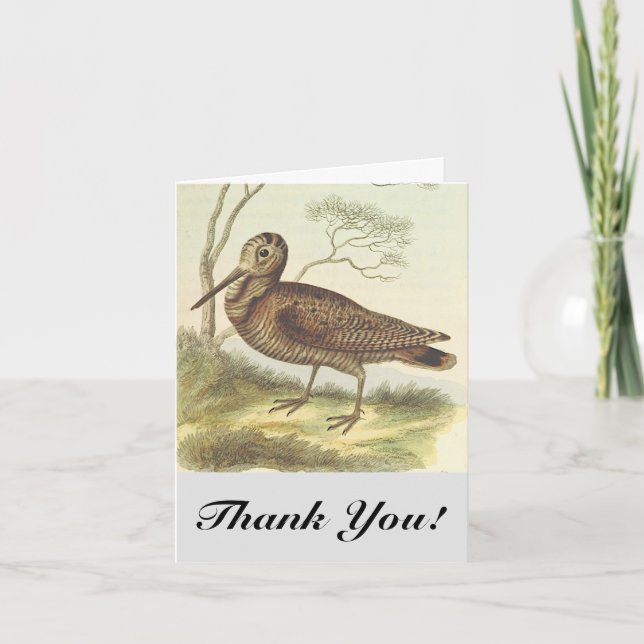 Carte Oiseau au sol, "Merci !", Vintage (Devant)
