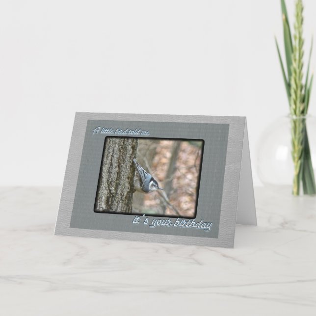 Carte Oiseau chanteur d'anniversaire Slate Grey (Devant)