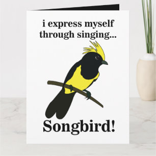 Carte Oiseau chanteur Mésange Oiseau Drôle Ornithologie
