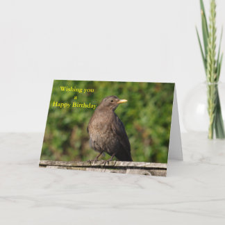 Carte Oiseau d'anniversaire