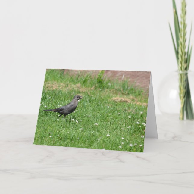 Carte Oiseau dans l'herbe (Devant)