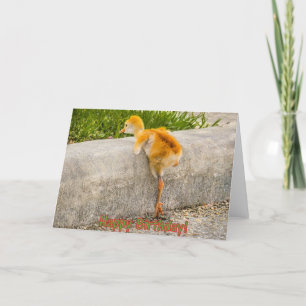 Carte Oiseau de bébé de JOYEUX ANNIVERSAIRE