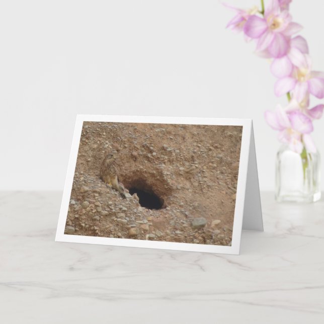 Carte Oiseau de faucille, Falco Tinnunculus (Orchidée)