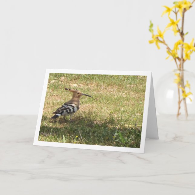 Carte Oiseau de Hoopoe sur l'herbe (Fleur jaune)