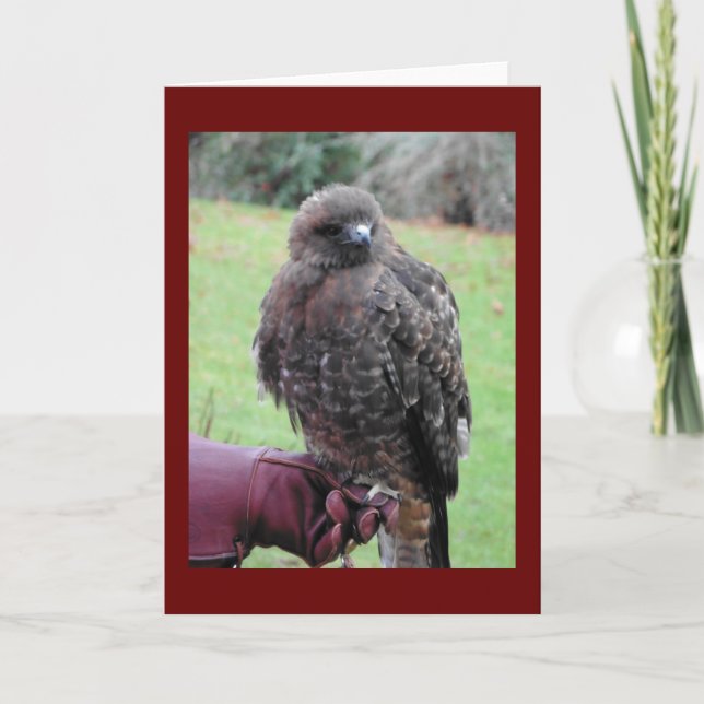 Carte Oiseau de Prey (Devant)