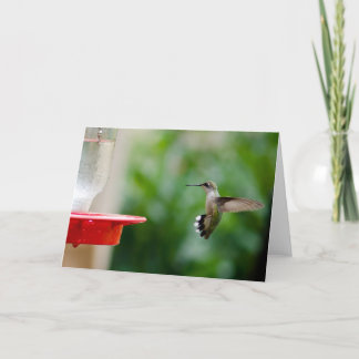 Carte Oiseau de ronflement