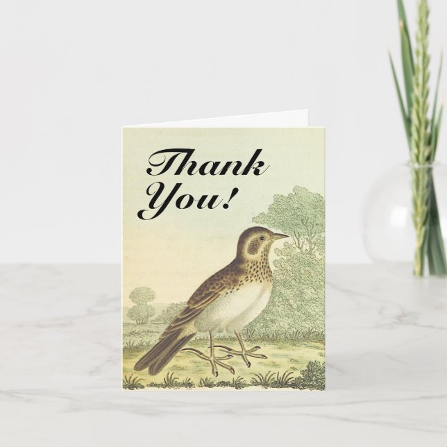 Carte Oiseau debout sur le sol, "Merci !" (Devant)