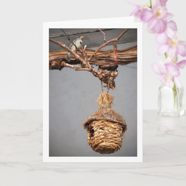 Carte Oiseau du Bruant au-dessus de la maison d'oiseaux (Orchidée)