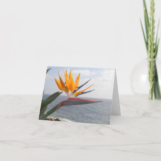 Carte Oiseau du Paradis au paradis
