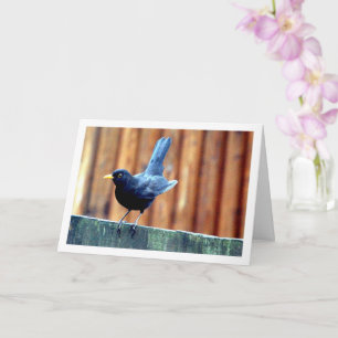 Carte Oiseau Noir Sur Clôture