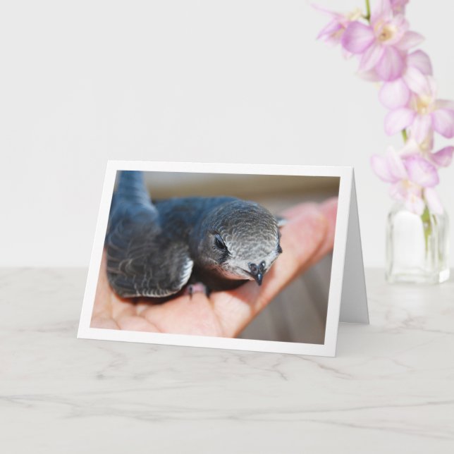 Carte Oiseau rapide en main (Orchidée)