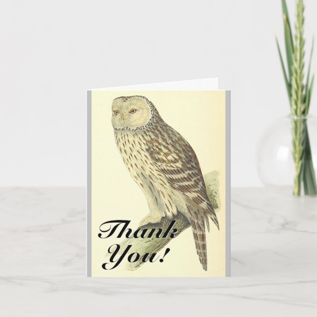 Carte Oiseau semblable à un hibou, "Merci !", Style Vint (Devant)