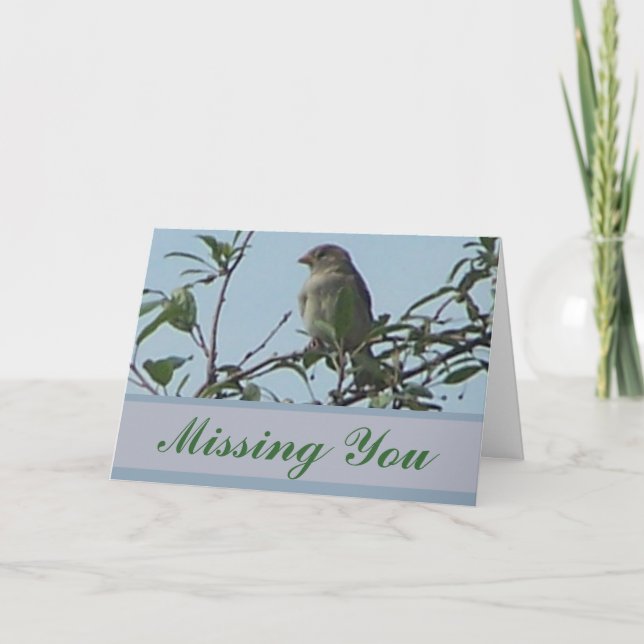 Carte Oiseau sur la branche (Devant)