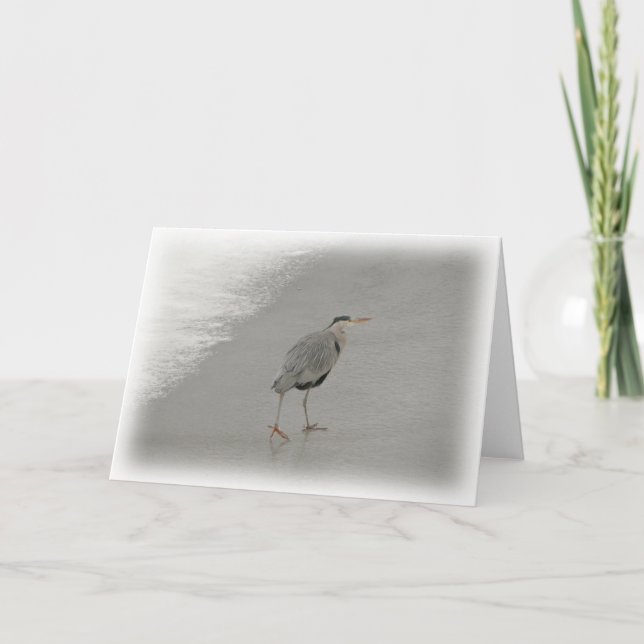 Carte Oiseau Sur La Plage Photo (Devant)