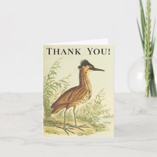 Carte Oiseau sur le sol, style vintage, "Merci !"