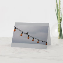 Oiseau sur un fil - art de photo