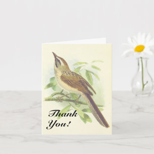 Carte Oiseau sur une branche d'arbre, "Merci !"