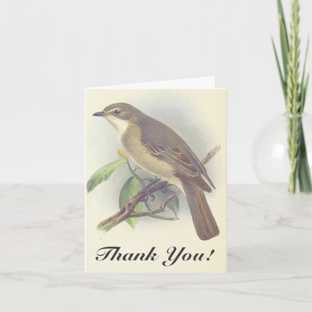 Carte Oiseau sur une branche, "Merci !" Vintage (Devant)