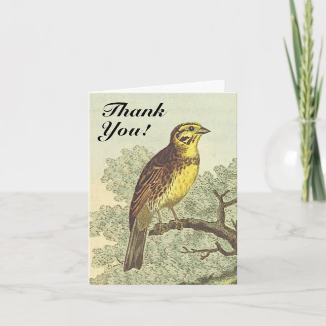 Carte Oiseau sur une branche, Vintage, "Merci !" (Devant)