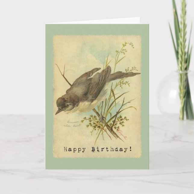 Carte Oiseau Vintage, Anniversaire (Devant)