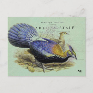 Carte oiseau violet