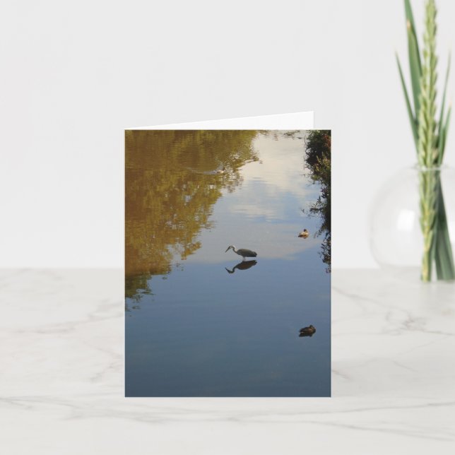 Carte Oiseaux aquatiques dans le parc Pollok, Glasgow (Devant)