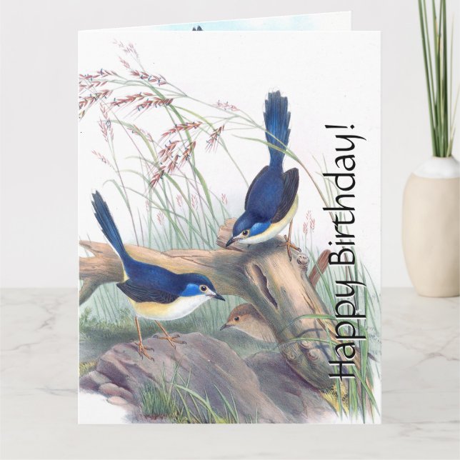Carte Oiseaux bleus Wren Flore Fleurs sauvages Anniversa (Devant)