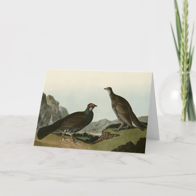Carte Oiseaux de l'Amérique du Nord (Devant)